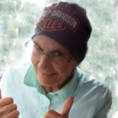 lois pitz