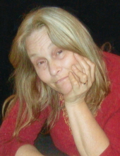 kimberly cook